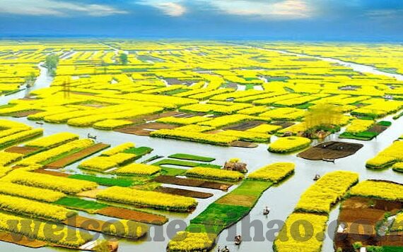 新浪爱彩足球比分直播-新浪爱彩足球比分直播，球迷的实时赛场伴侣