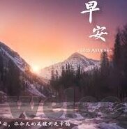足球在线比分直播-足球在线比分直播，数字时代的绿茵狂欢新体验